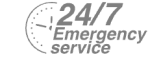 24/7 Emergency Service Pest Control in Canbury, Coombe, KT2. Call Now! 020 8166 9746